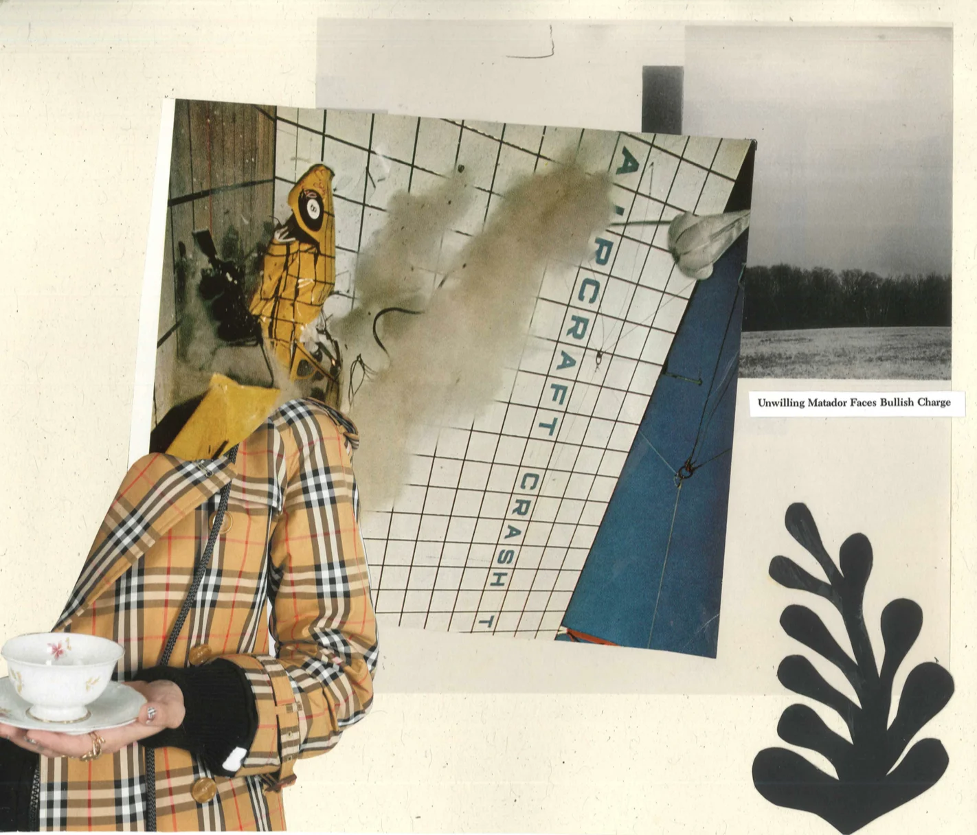"Fish Crash," mixed media/collage from National Geographic Magazine 1977 and Vogue 2018