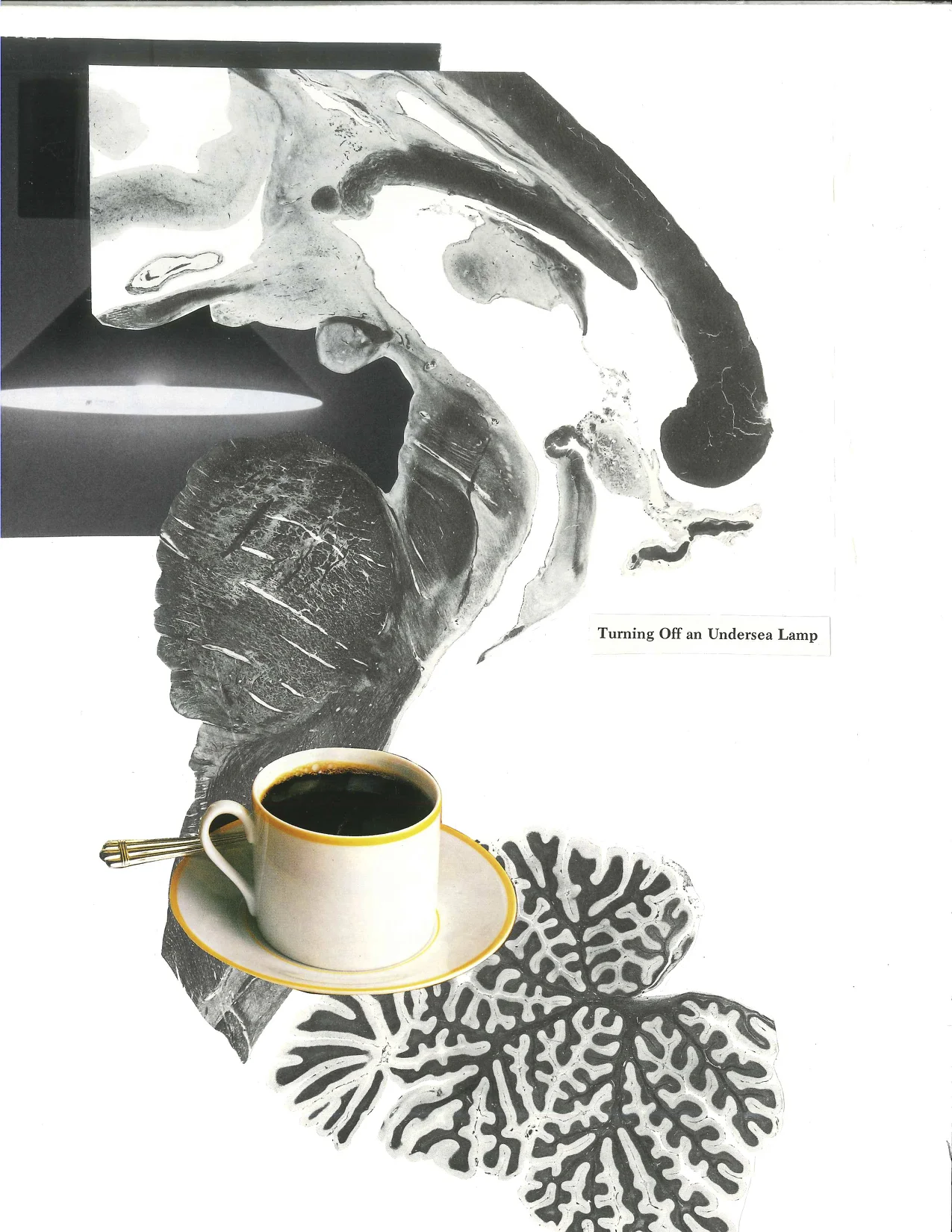 Turning Off an Undersea Lamp