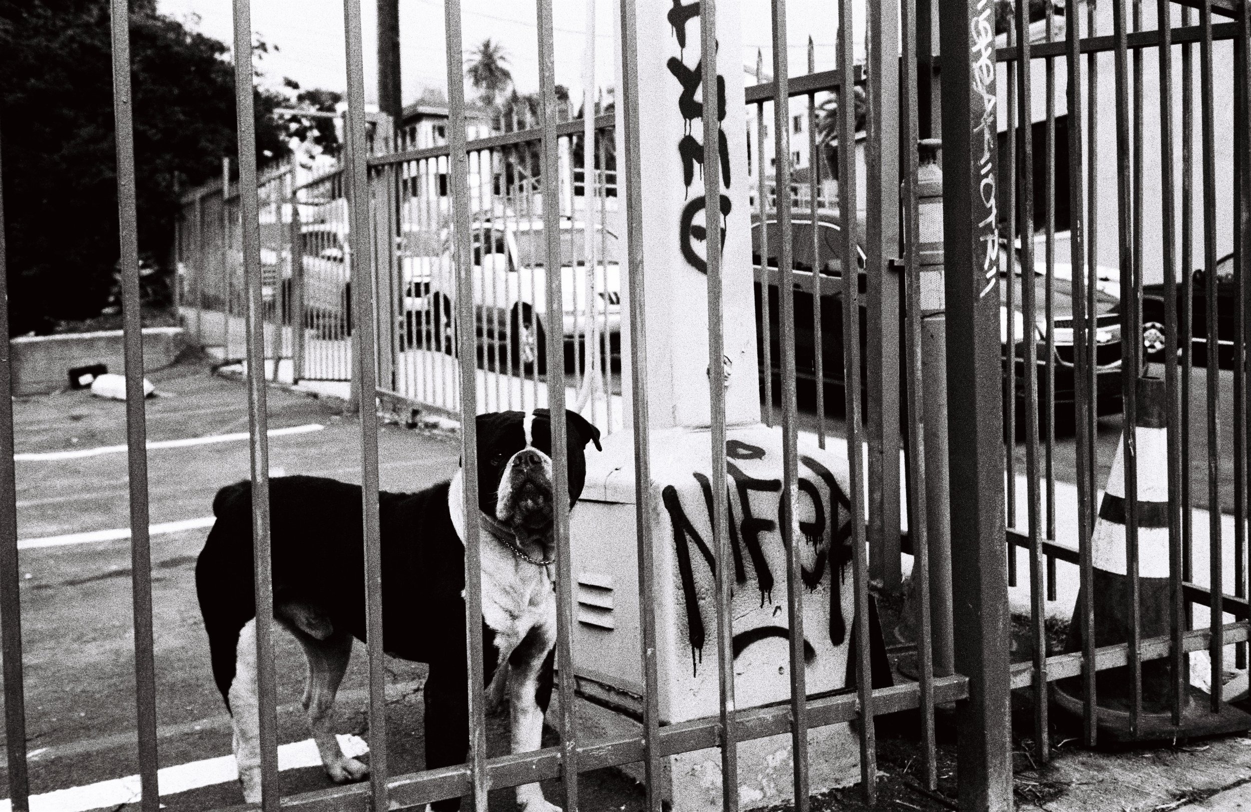 Goodbye Los Angeles!