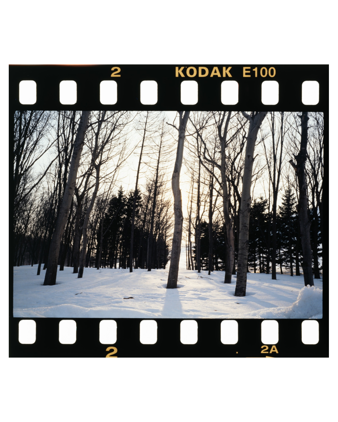 Photo 30-3-2026, 6 38 45 pm.png