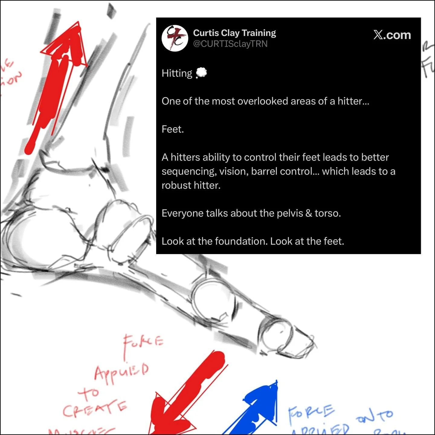 𝙁𝙀𝙀𝙏 𝘢𝘳𝘦 𝘺𝘰𝘶𝘳 𝙁𝙊𝙐𝙉𝘿𝘼𝙏𝙄𝙊𝙉
&mdash;
𝘾𝘜𝘙𝘛𝘐𝘚 𝘾𝘓𝘈𝘠 𝙏𝘙𝘈𝘐𝘕𝘐𝘕𝘎