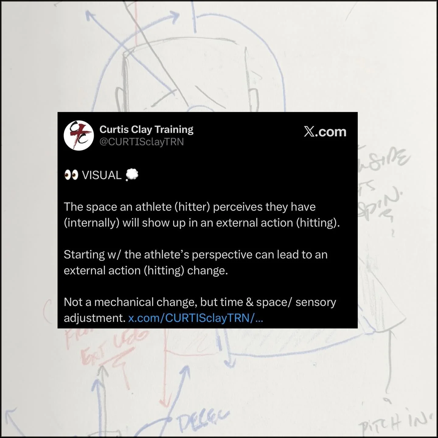 𝙀𝙔𝙀𝙎 𝙊𝙍𝙂𝘼𝙉𝙄𝙕𝙀
&mdash;
𝘾𝘜𝘙𝘛𝘐𝘚 𝘾𝘓𝘈𝘠 𝙏𝘙𝘈𝘐𝘕𝘐𝘕𝘎