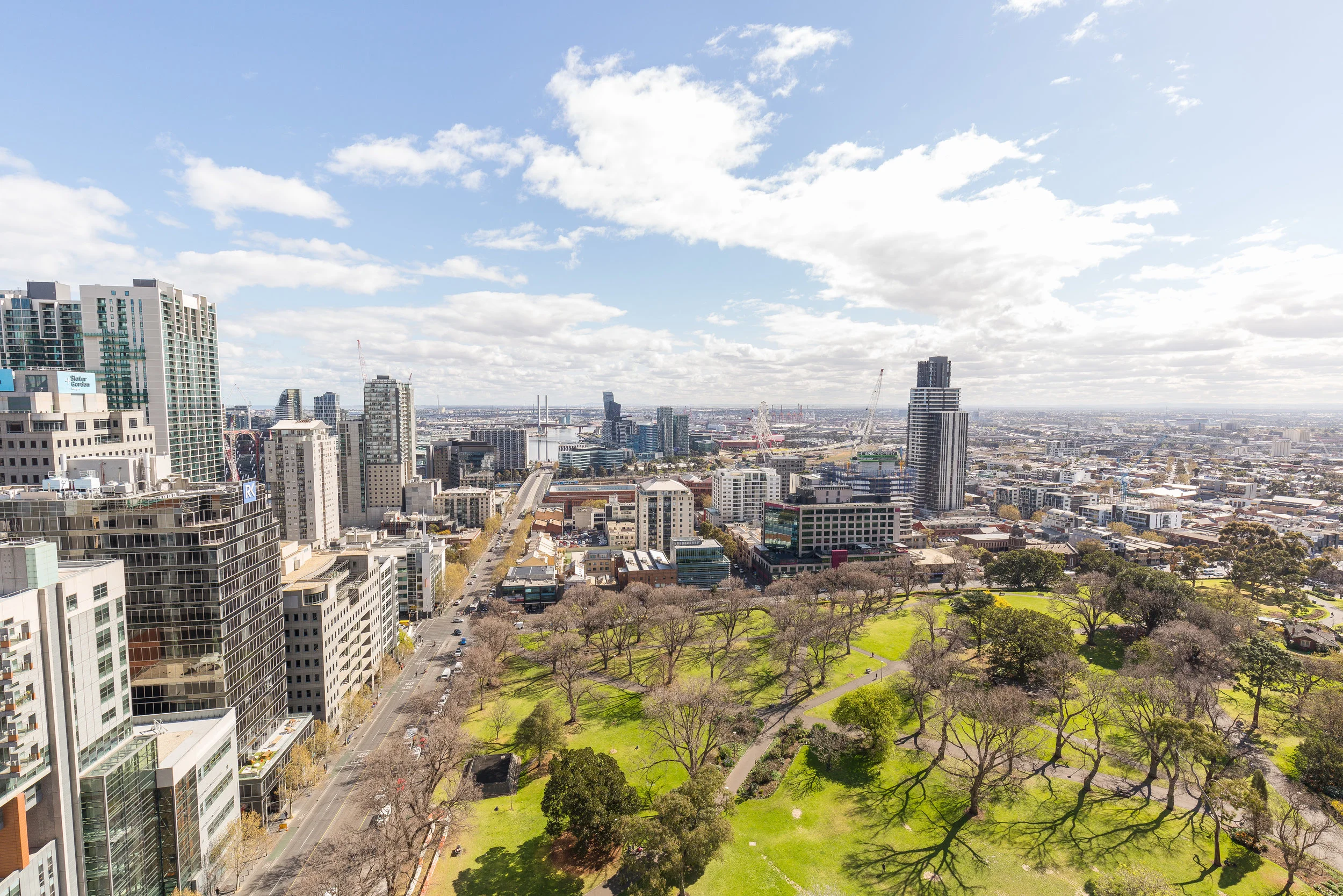 William ST-21.jpg