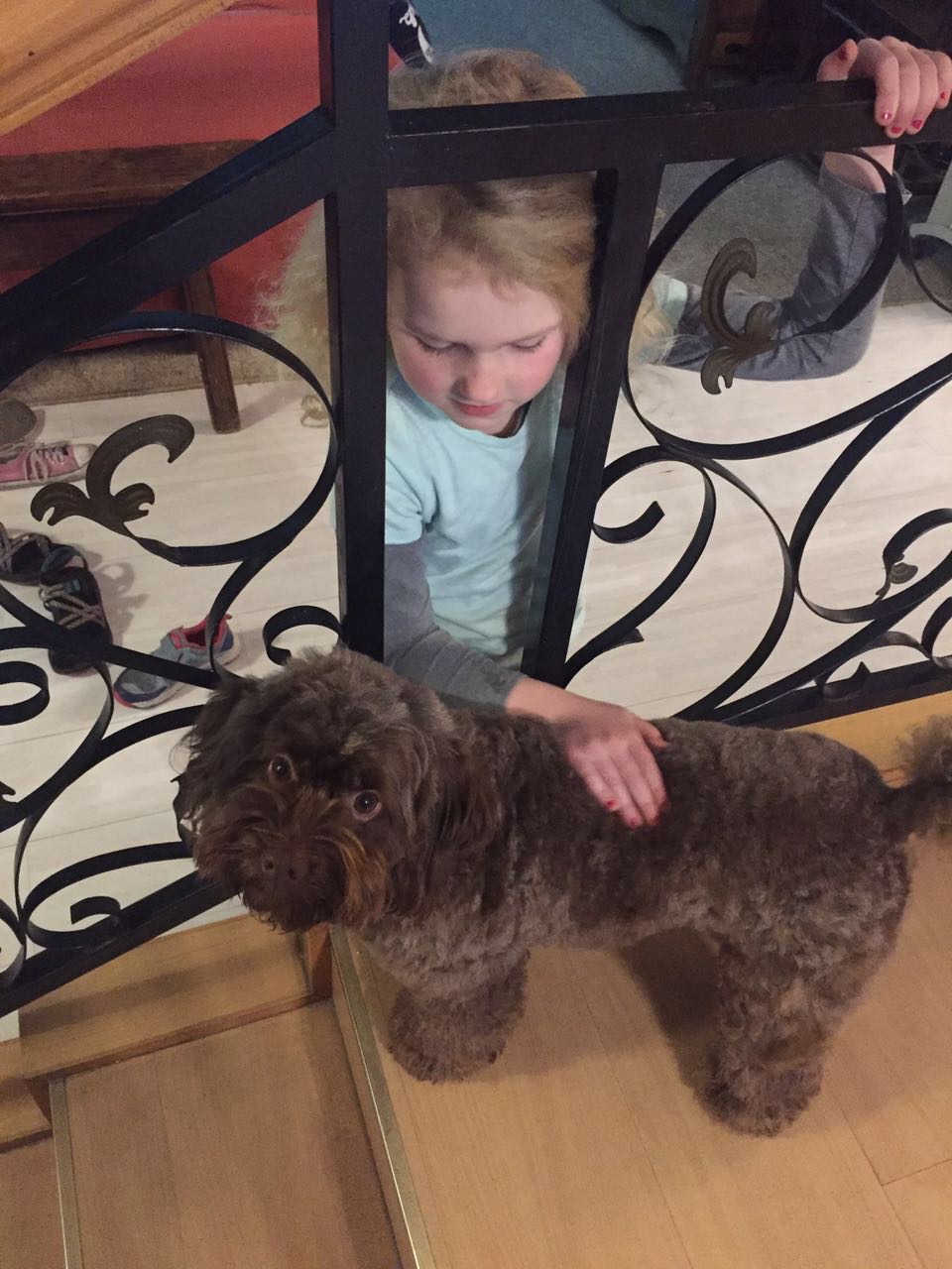 Eden loves this little dog, Coco. 