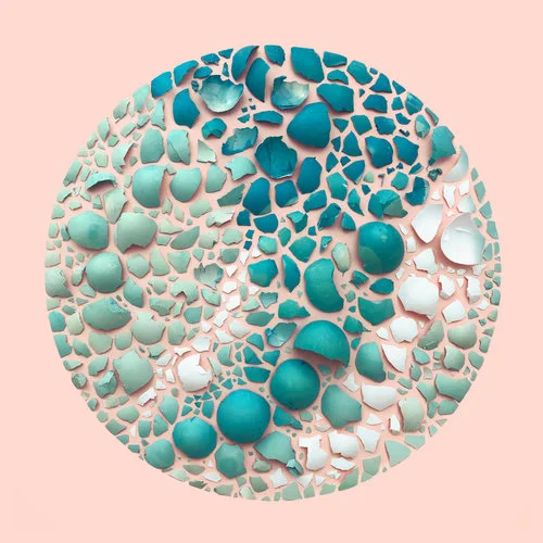 42.eggshells+in+a+circle.jpg