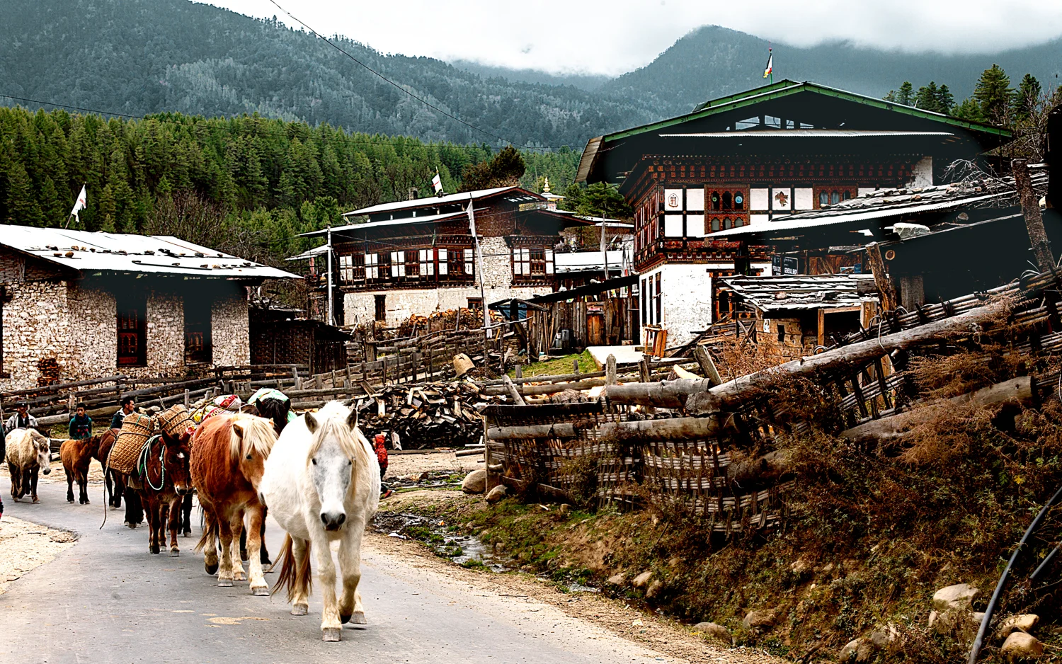 Bumthang-ChumeyVillage-vincent-2174-forweb.jpg