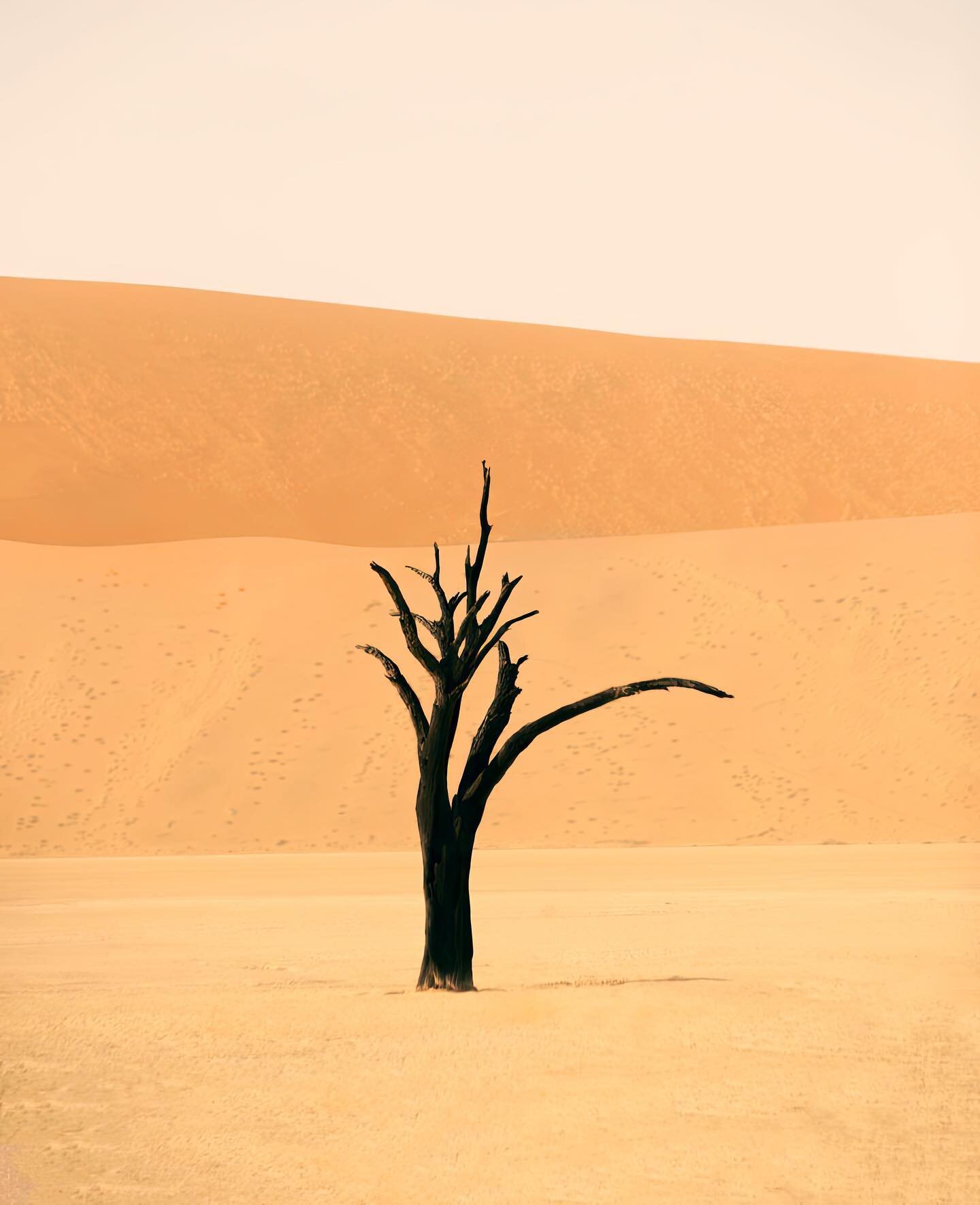 Welcome to the Namibian desert. Hot dunes. Zero sound. Nothingness. Except one sign of life in Deadvlei where water used to flow 600 years ago. When the water dried up, the sun struck the trees into a petrified purgatory.

The dunes stand as tall as 