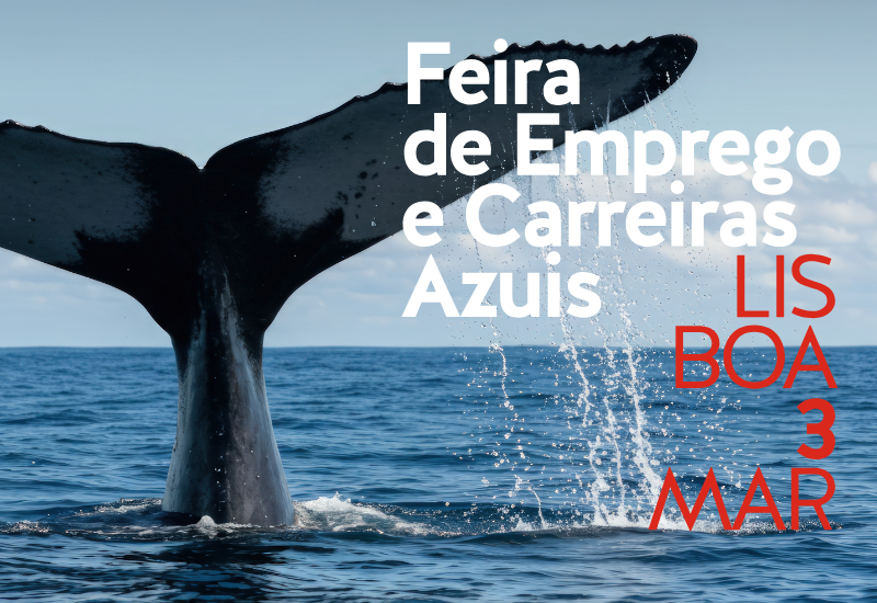 UACORES na FOCA6 800 x 550.png