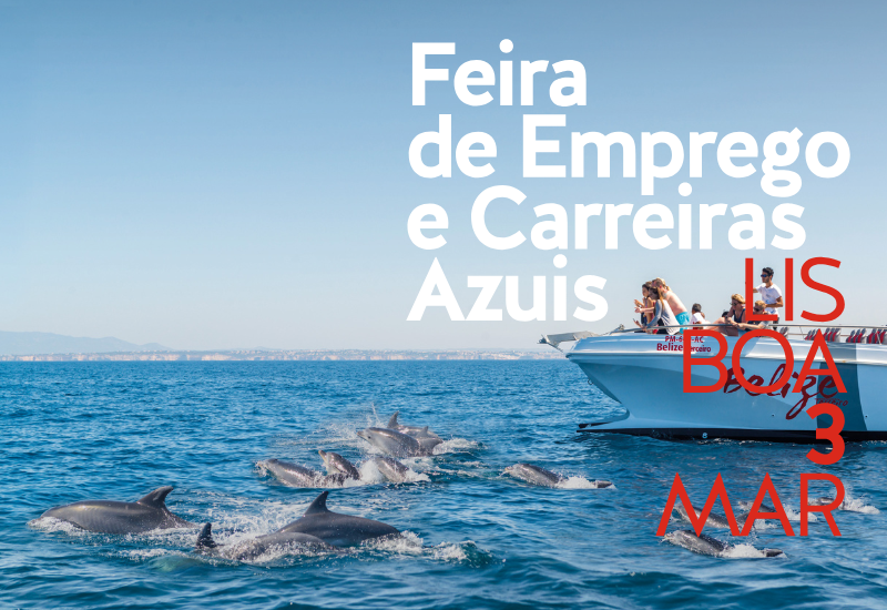 AlgarExperience na FOCA6 800 x 550.png