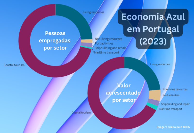 apormar 800x550 242.png
