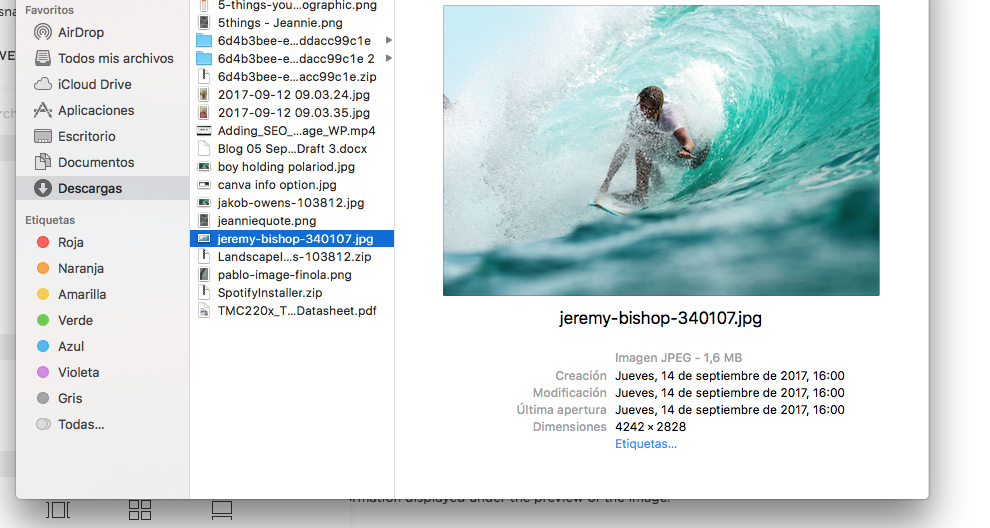 Yikes - a monster! File size is 1.6 MB, and dimensions (explained below) are 4242 x 2828!