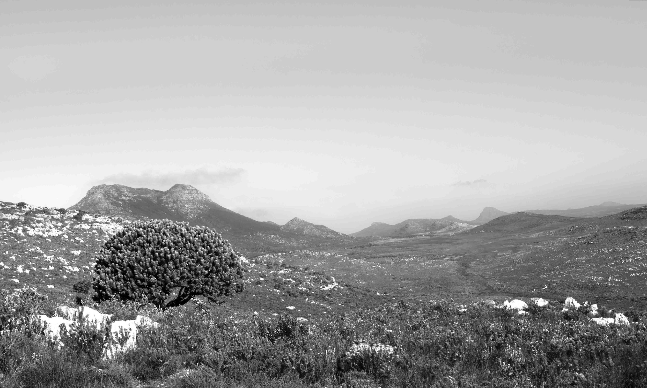 NicBladen_Baskloof_Landscape-5.jpg