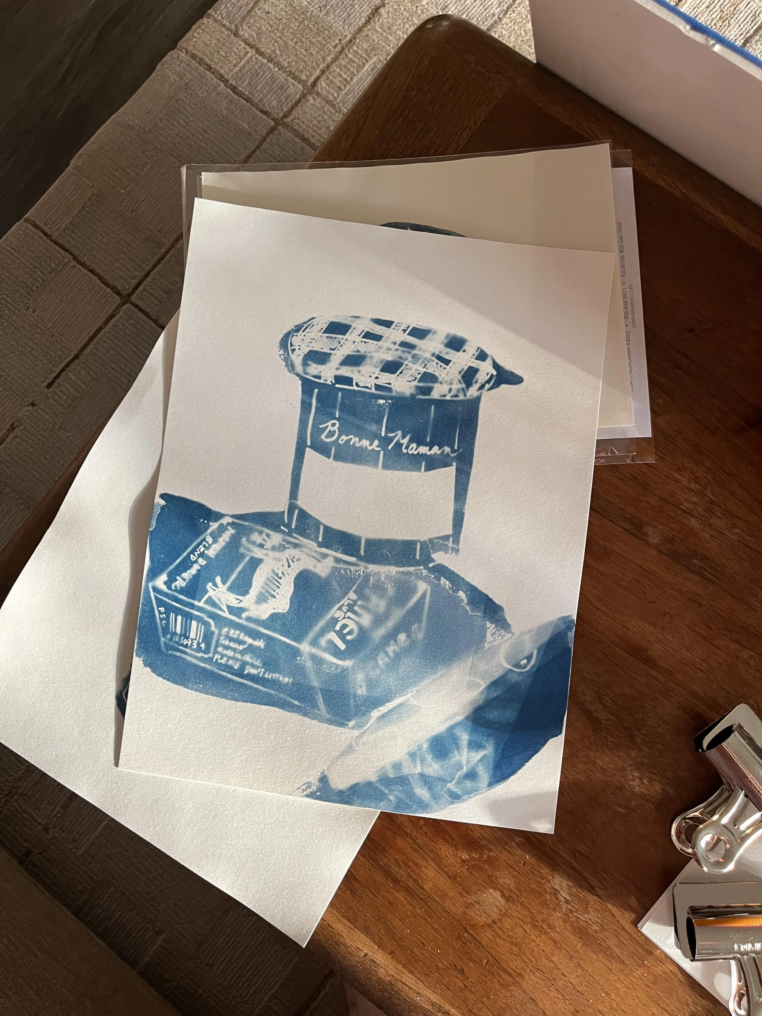 caroline cyanotype multi print.jpg