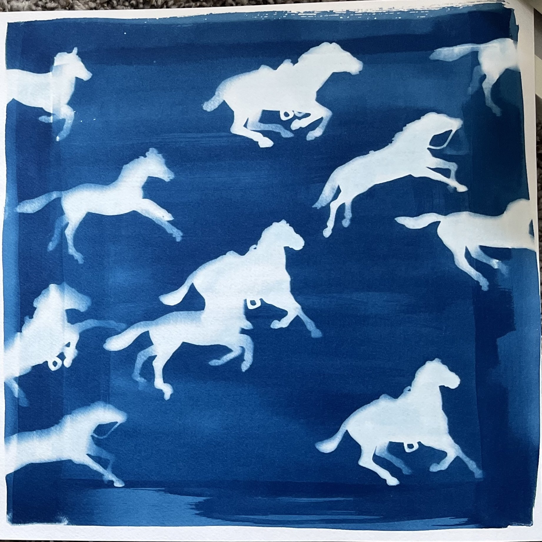 Cyanotype.jpg