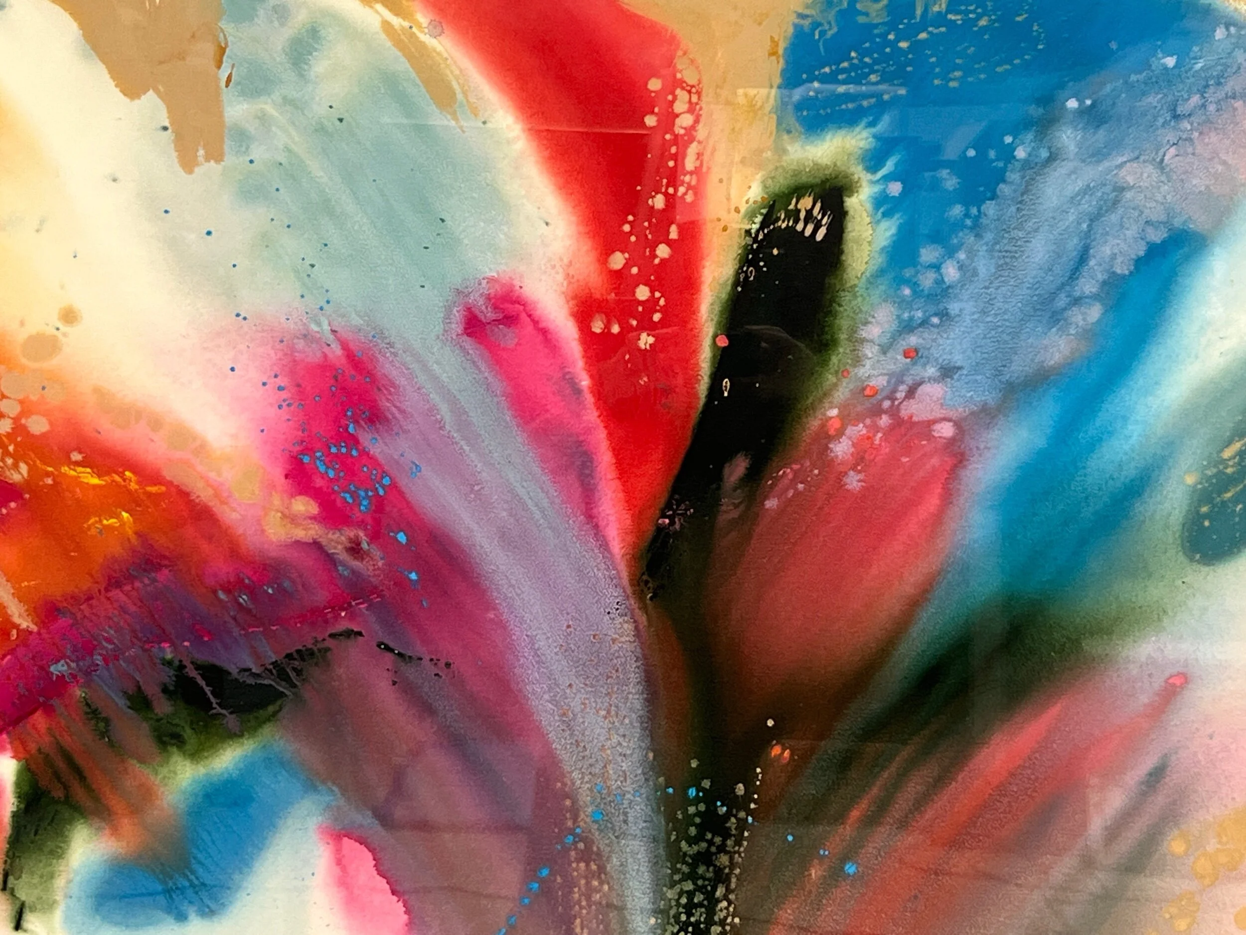 BB959FB2-F1FF-4E4A-A27D-858751D04150