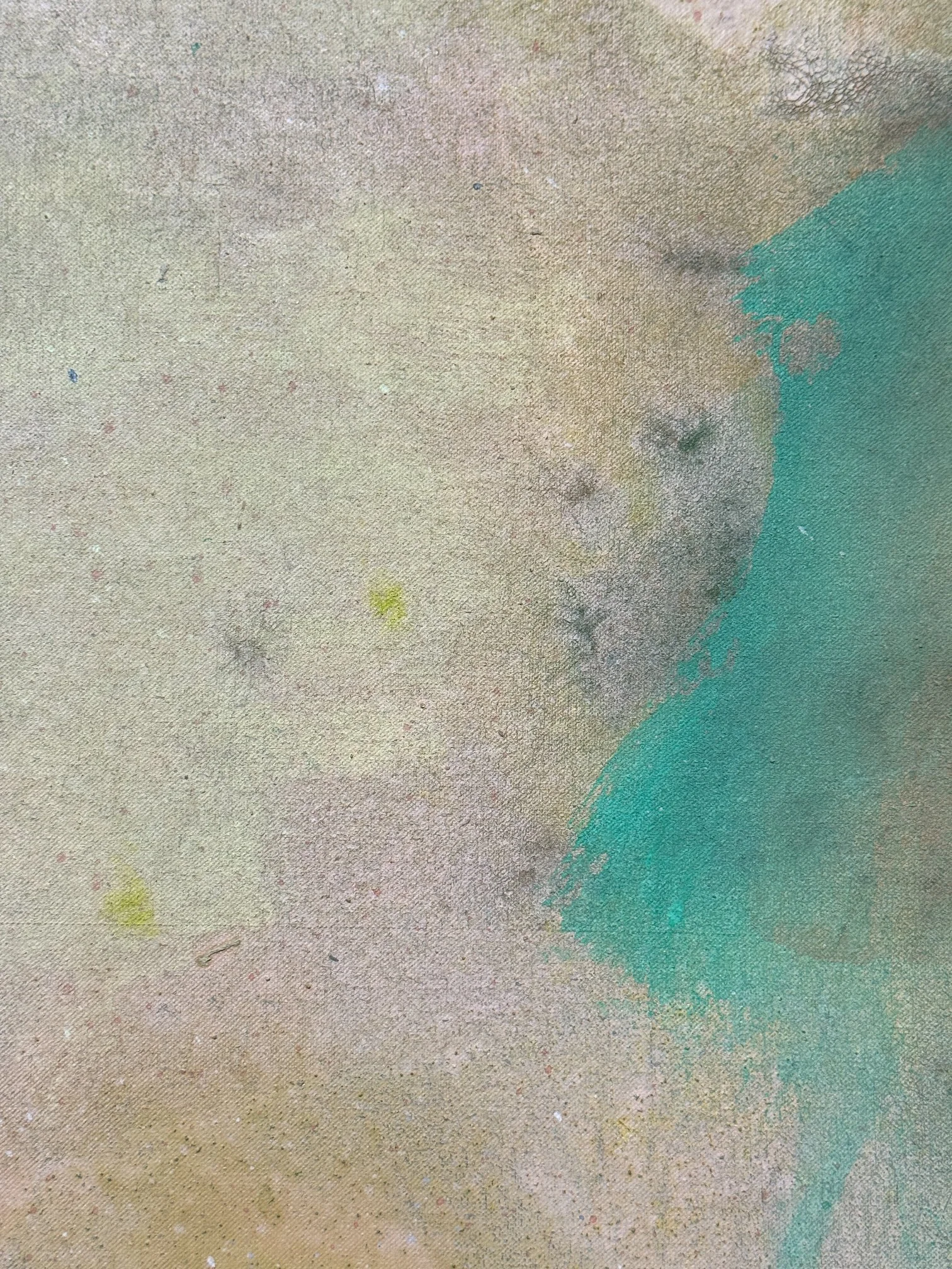 IMG_5217.JPG