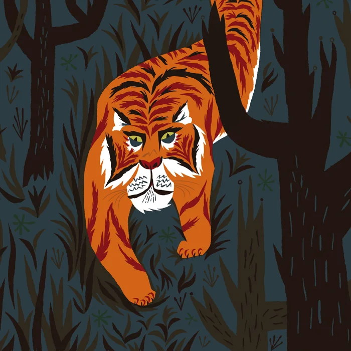 TigerTiger230612 copy.jpg