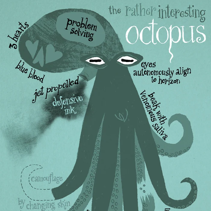 OctopusFacts.jpg