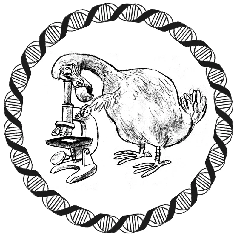 DodoMicroscope.jpg