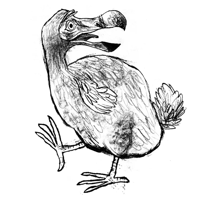Dodo thumbnail.jpg