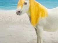 Weis-a-corn_Staring_6s_9x16_TikTok