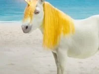 Weis-a-corn_Crash_6s_9x16_TikTok