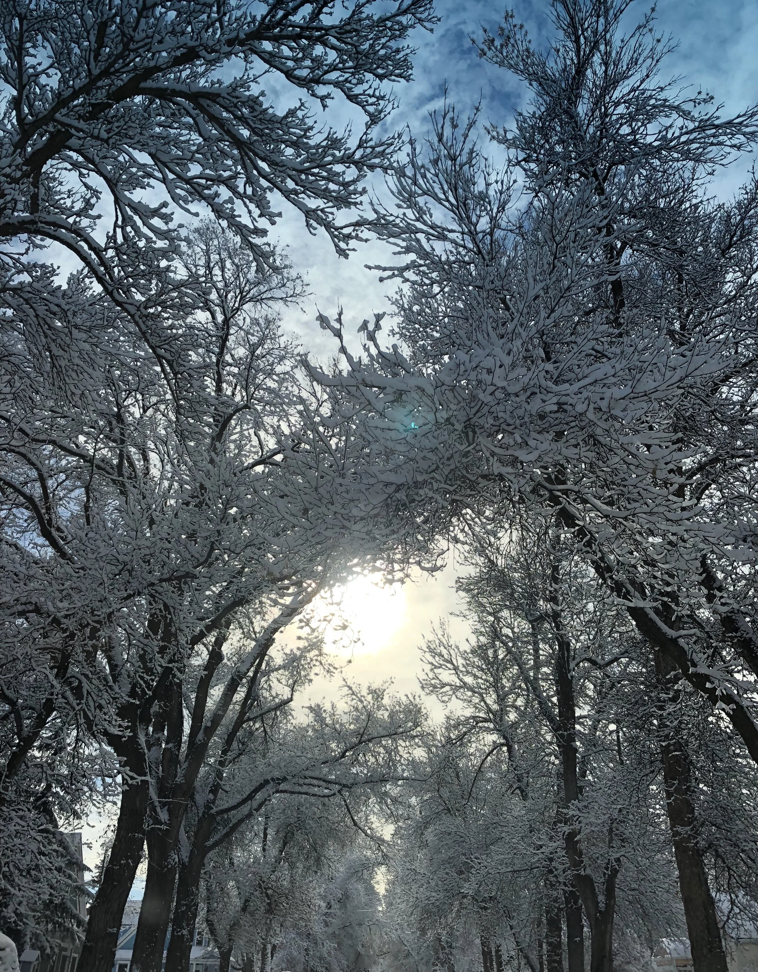 January Mama Message