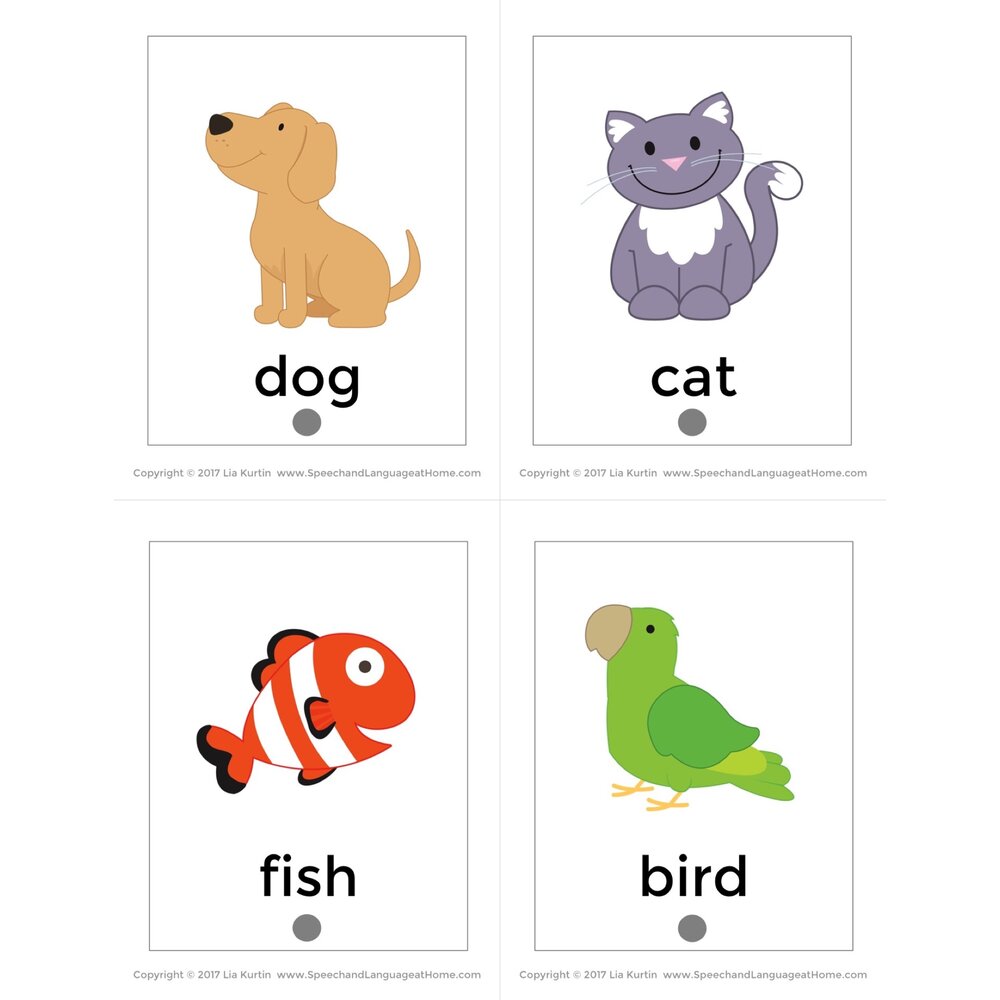 Nouns and Pronouns. Flip Books for Speech Therapy Activities — Speech  Therapy at Home. — Speech and Language at Home