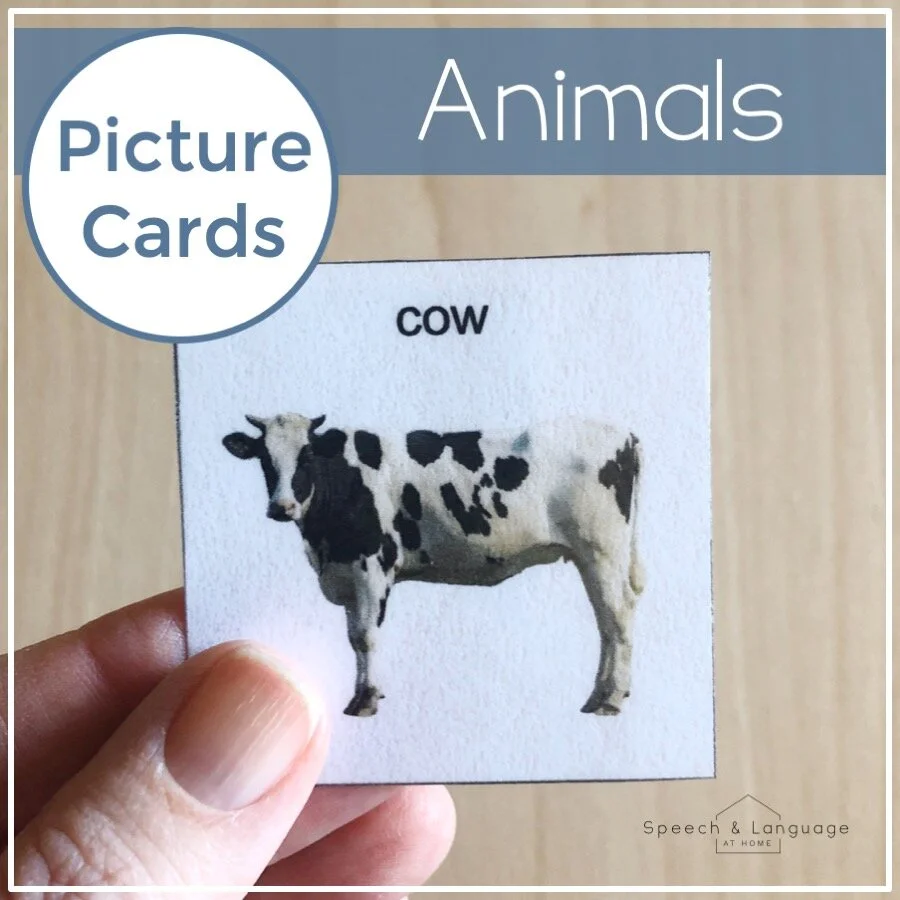 Animal Editable Picture Cards