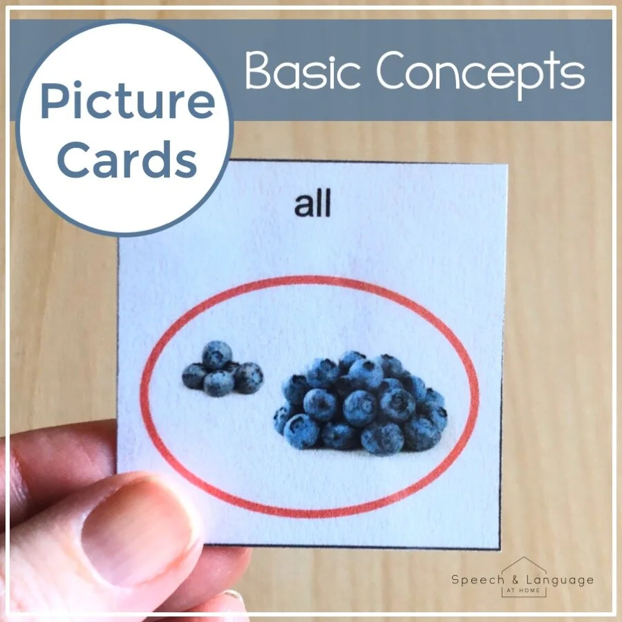 Basic Concept Editable Picture Cards