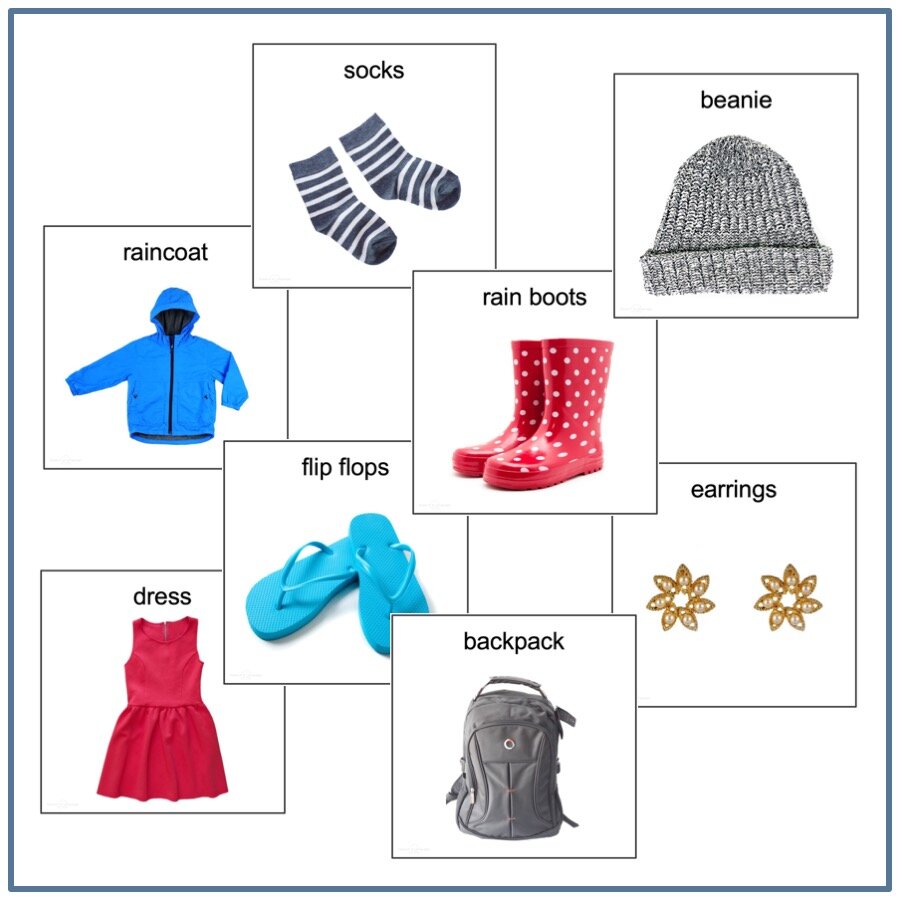 Autism SEN Speech and Language PECS Clothes and Weather Organiser 