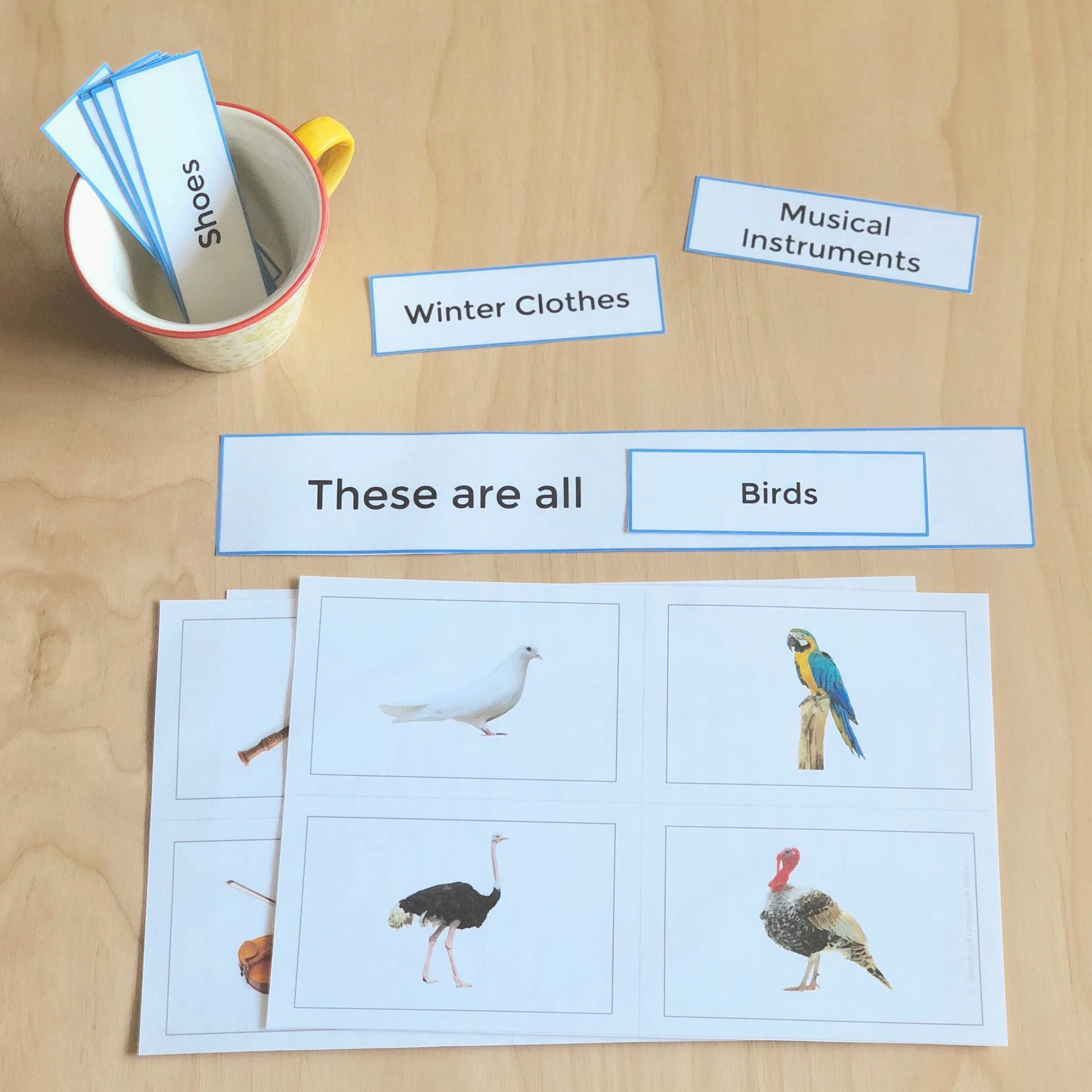 Photo Cards - Speech, Language, Vocabulary, ELL, Phonemic Awareness