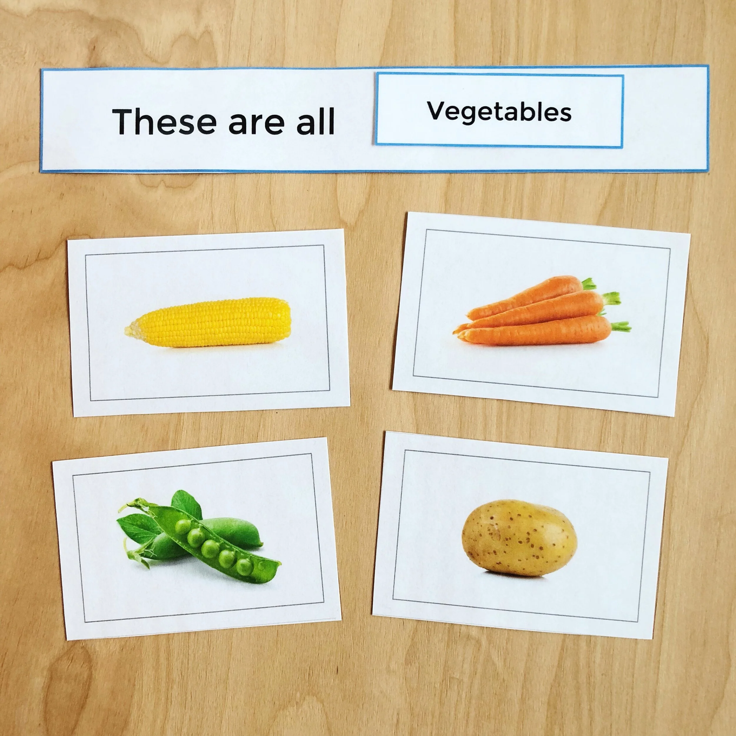 Category Speech and Language Photo Cards for speech therapy language development