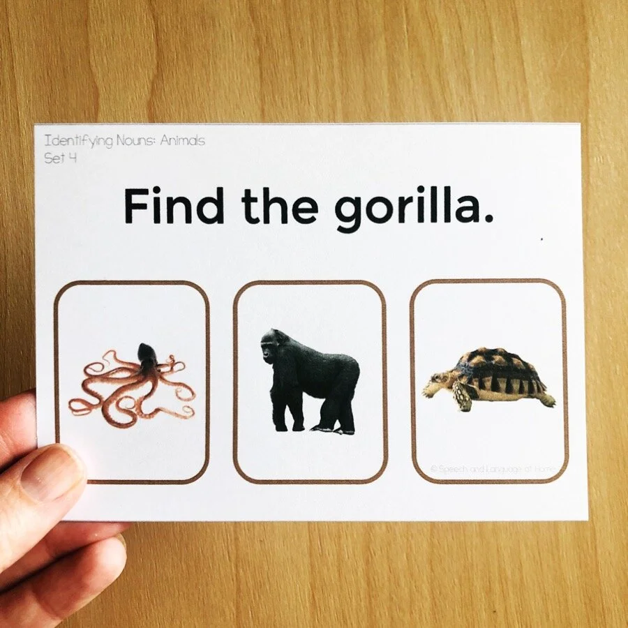 Animals Identifying Nouns Vocabulary Interactive PDF Distance Learning — SLP