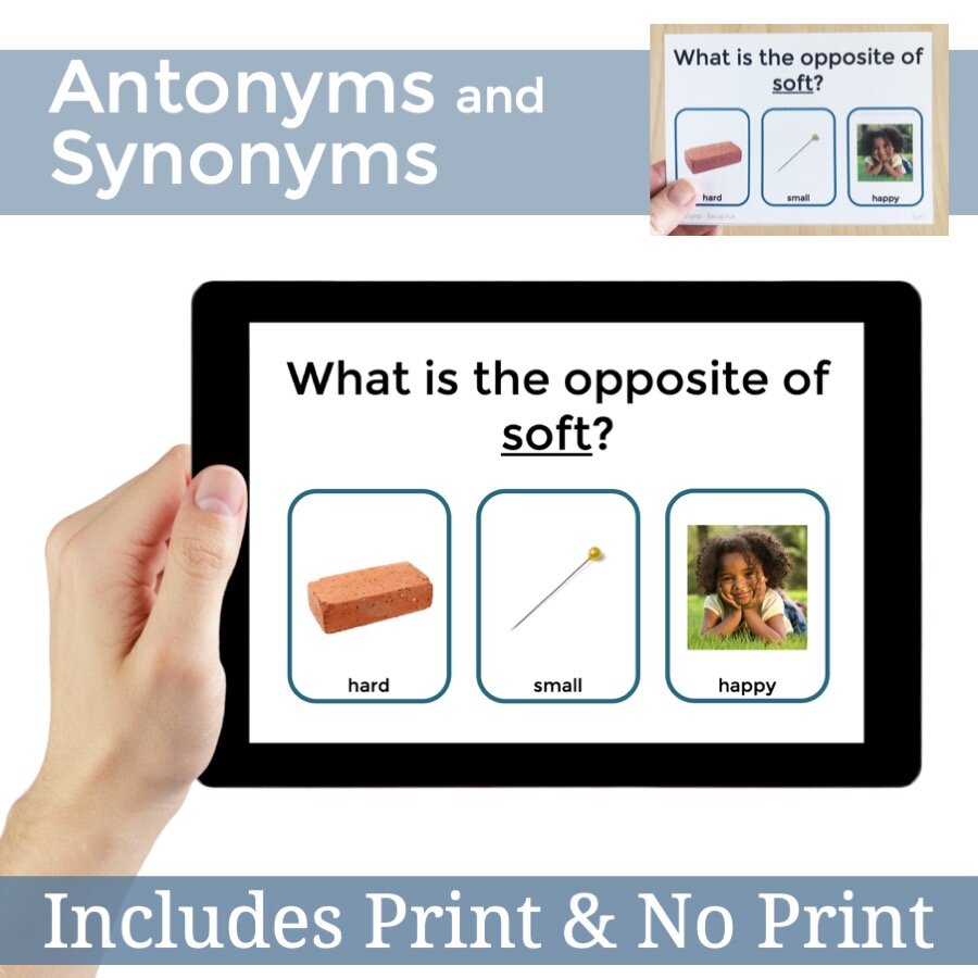 Synonym & Antonym Slap It Game, Speech Language Therapy