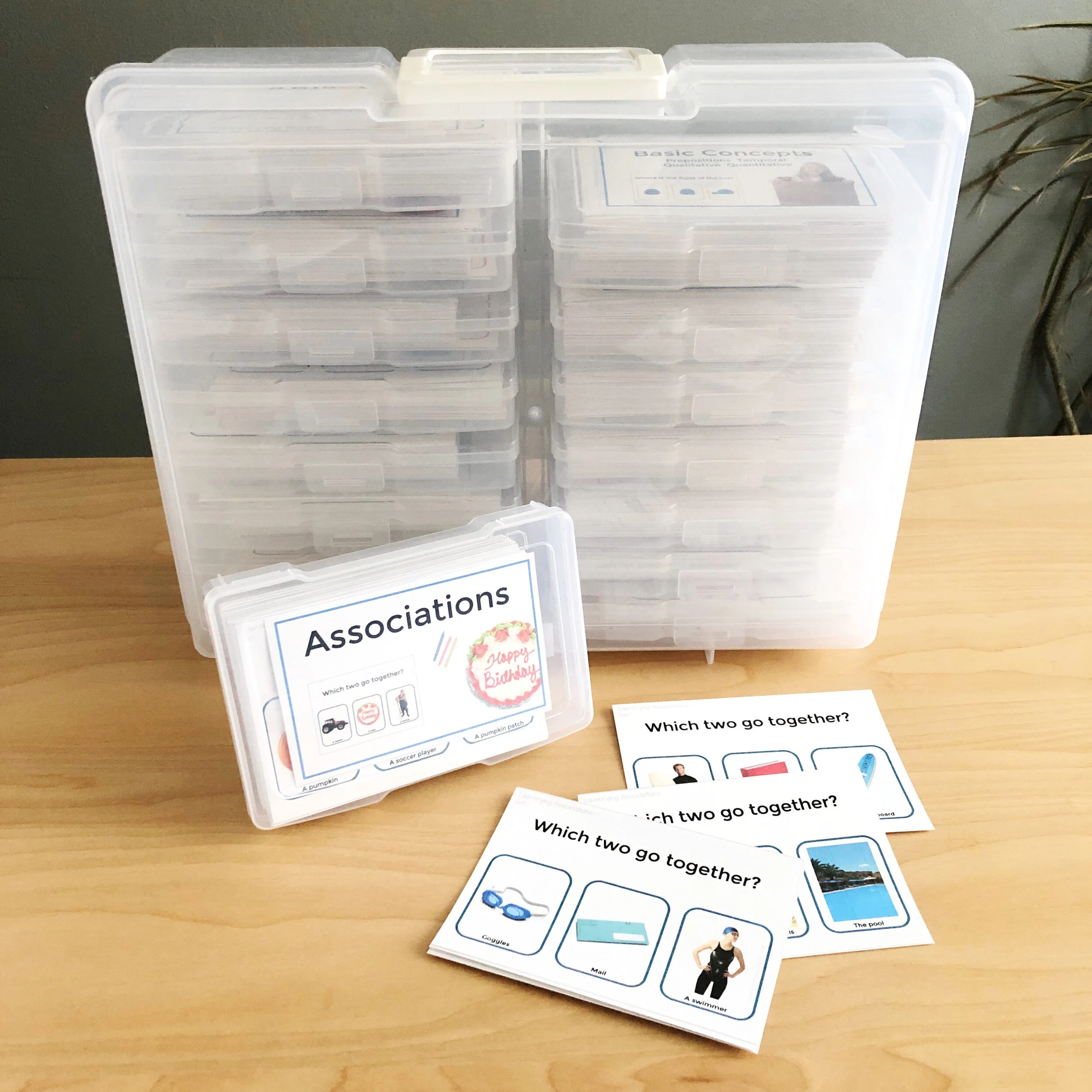 Word Associations Speech Therapy Digital PDF for Distance Learning Printables