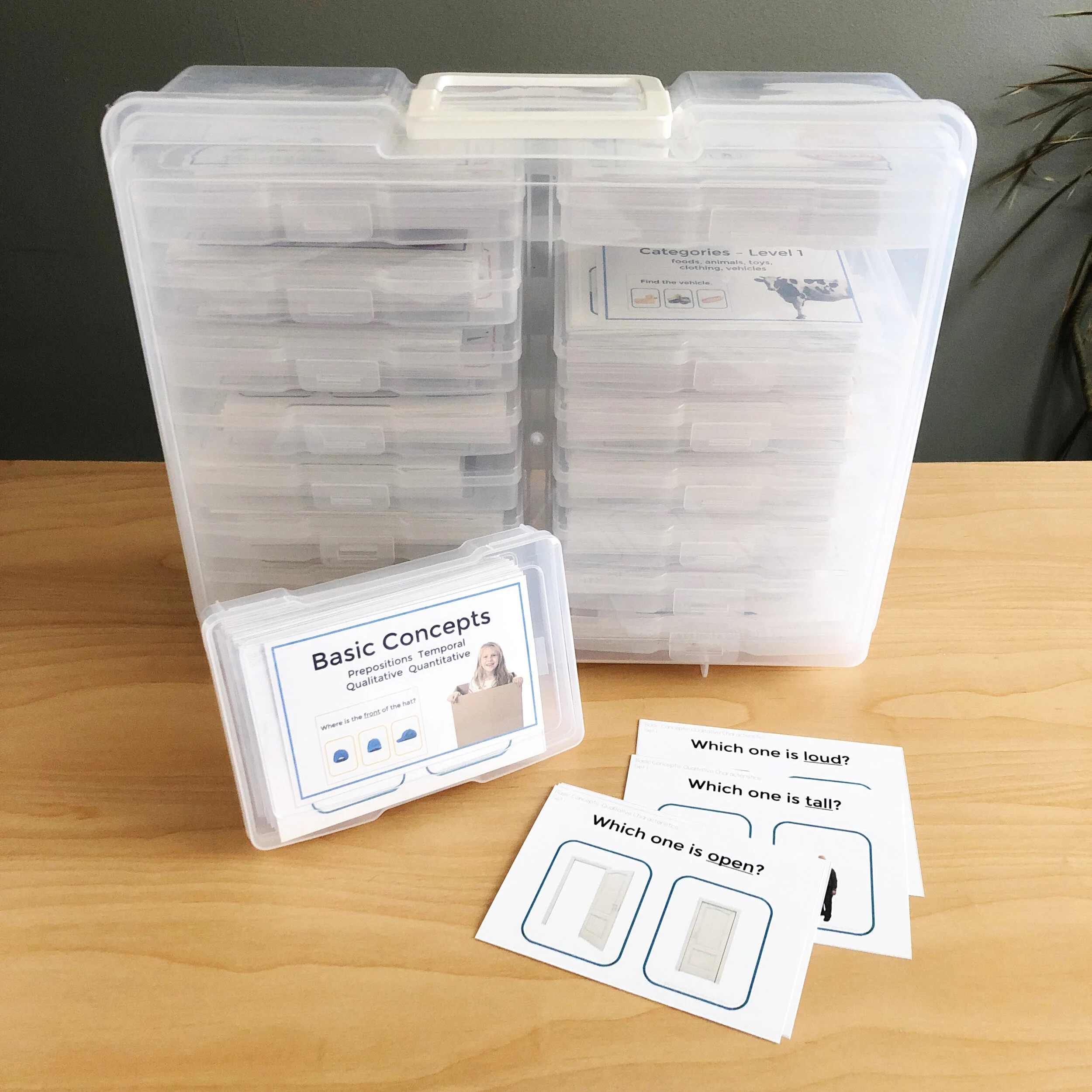 Basic Concepts Speech Therapy Qualitative Characteristics Digital &amp; Printable Cards for Speech Therapy