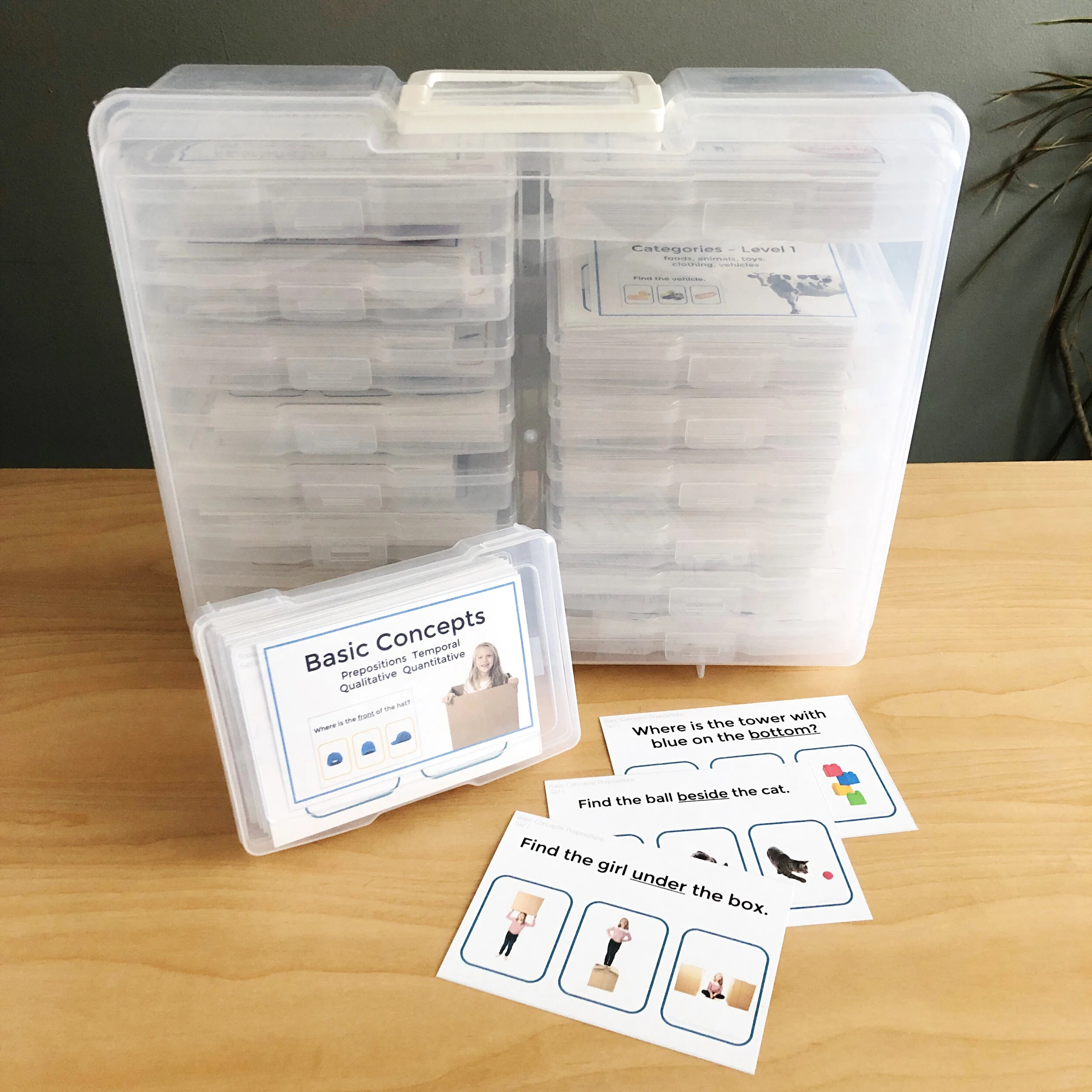 Basic Concepts Speech Therapy Prepositions Locations Digital &amp; Printable Cards for Speech Therapy