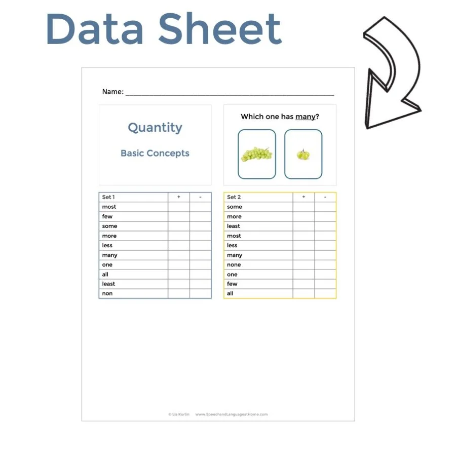 basic concepts speech therapy quantity quantitative digital printable speech and language at home