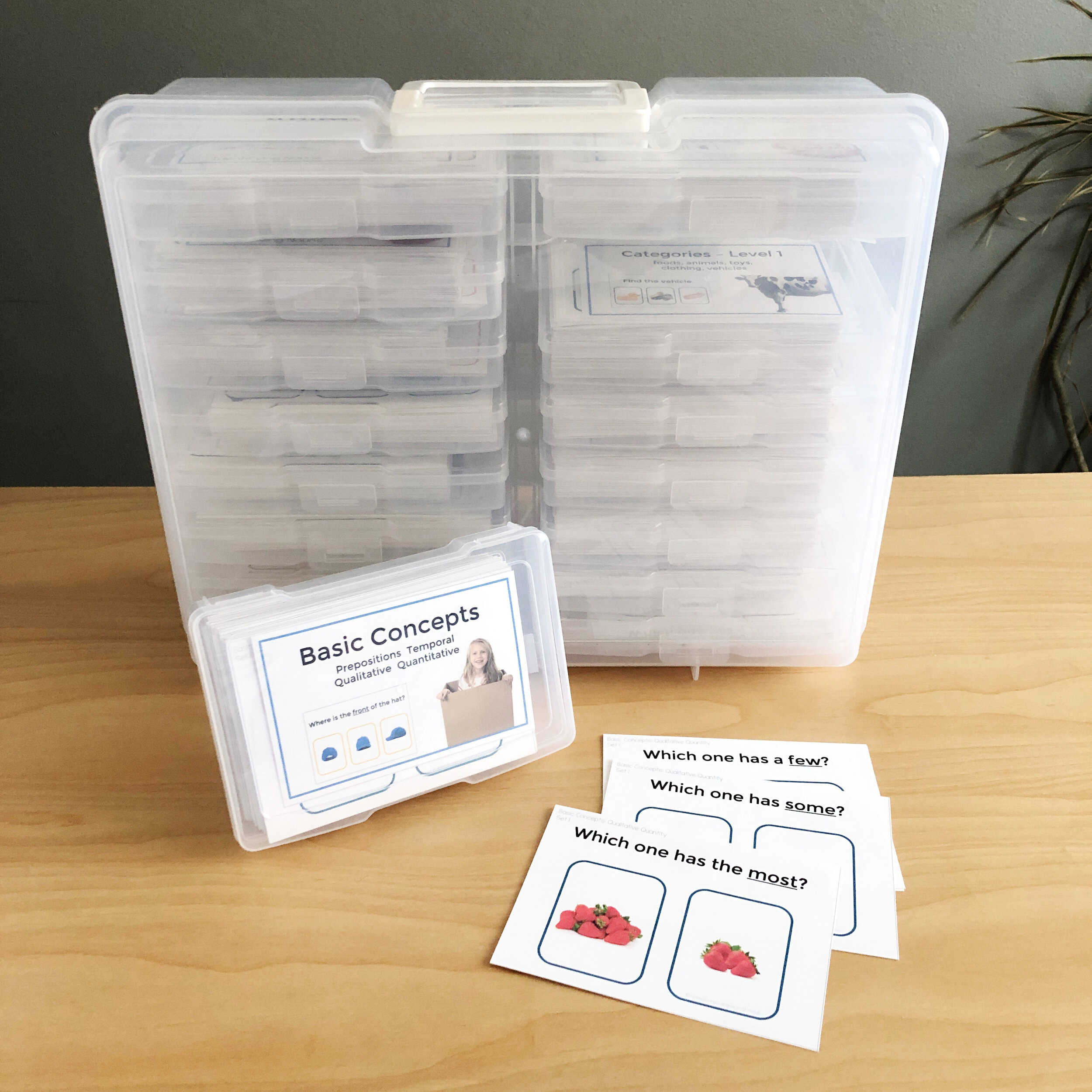 Basic Concepts Speech Therapy Quantity Quantitative Digital &amp; Printable Cards for speech therapy