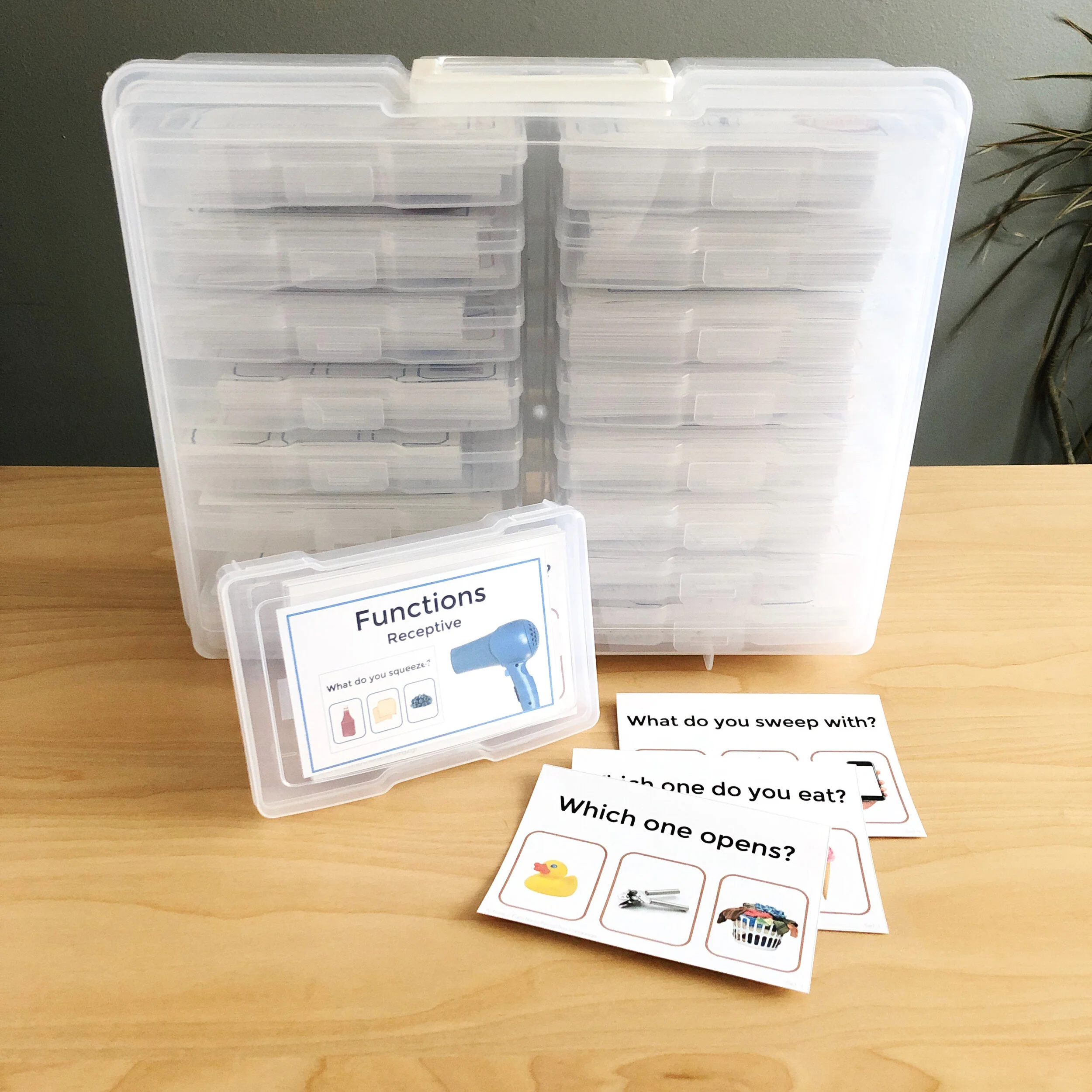 Functions Actions Verbs Digital PDF for Distance Learning with Printables