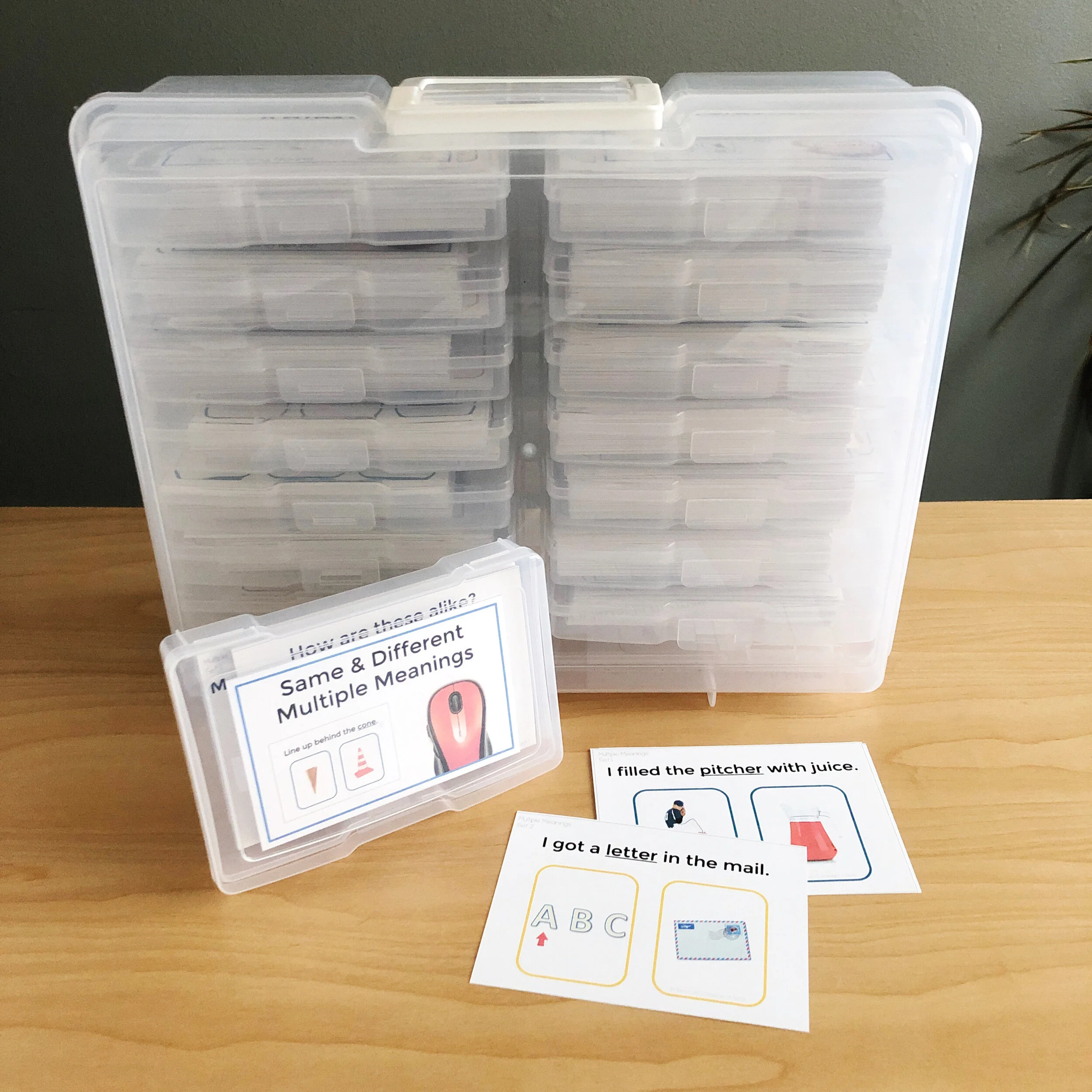 Multiple Meanings Homophones Interactive PDF Distance Learning Printables