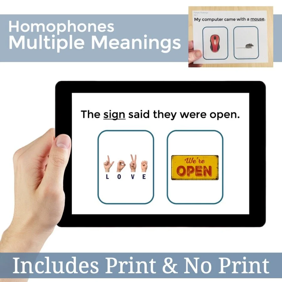 Multiple Meaning Task Cards