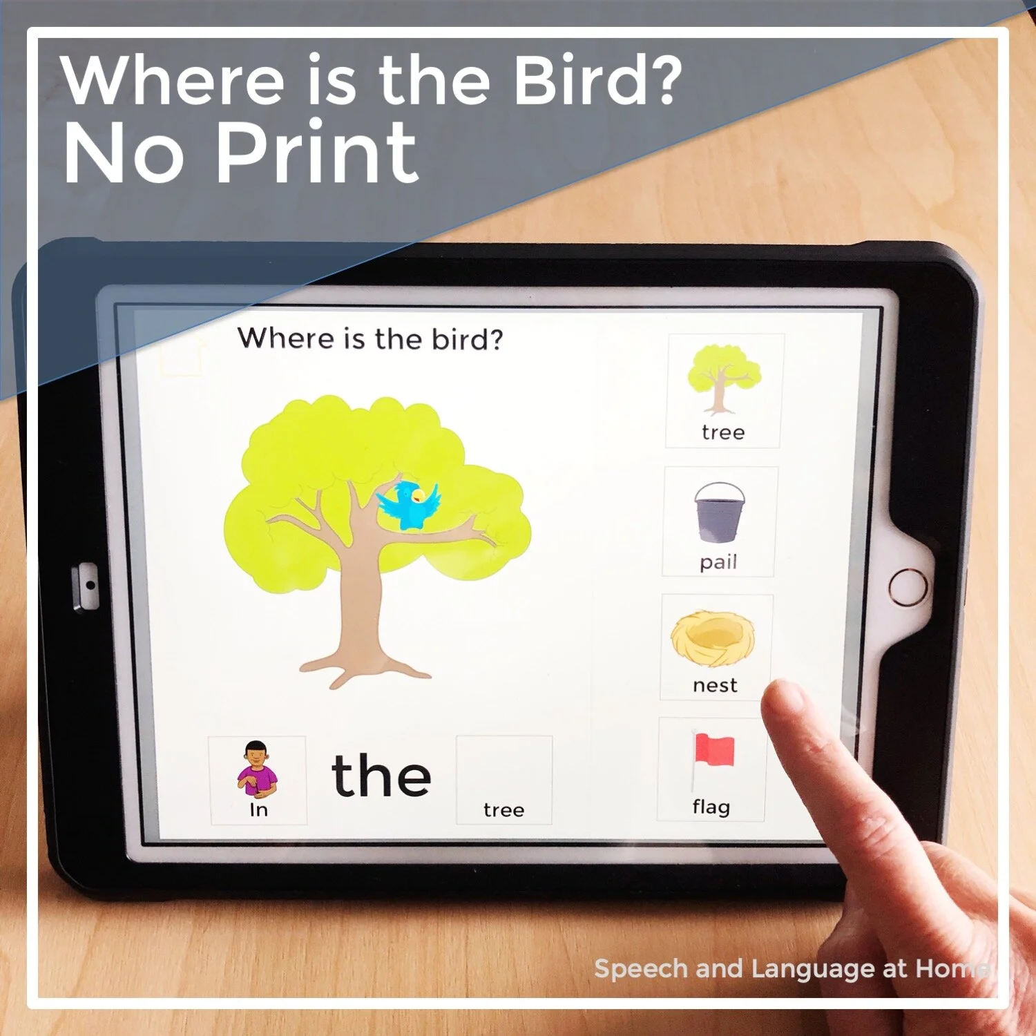 Where is the Bird No Print