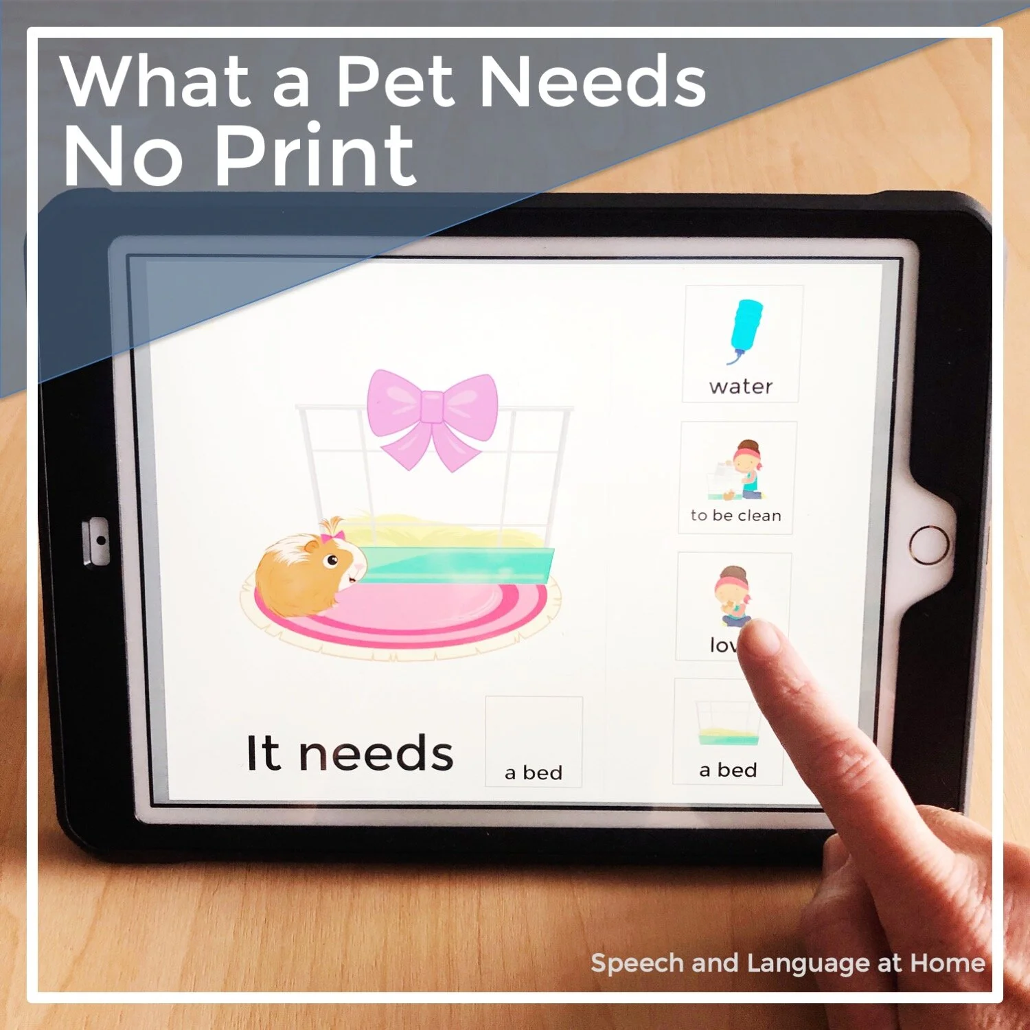 What A Pet Needs No Print