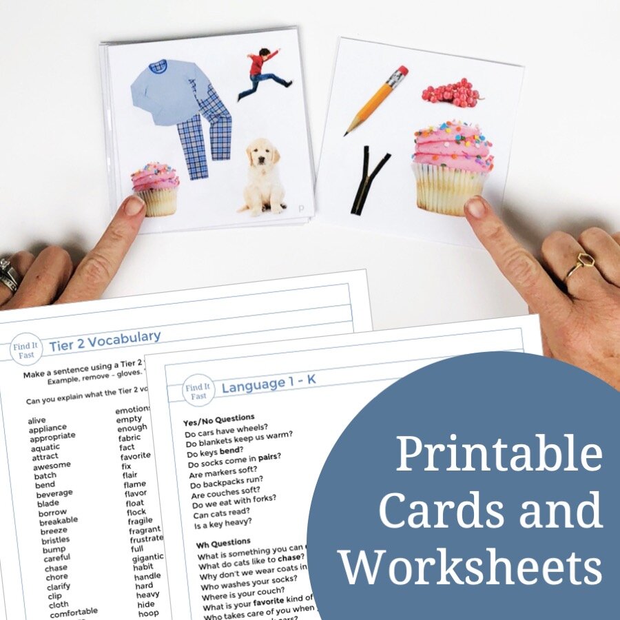 Find It Fast N Sound Speech Therapy Game for language, articulation, and phonemic awareness