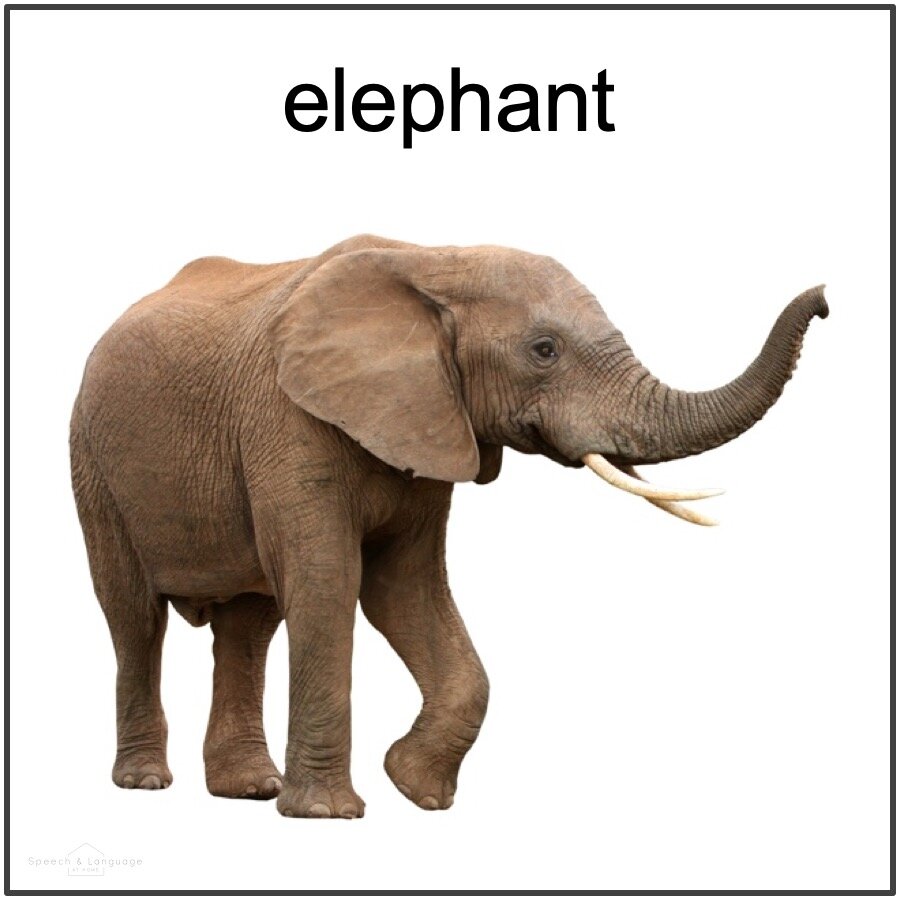 picture card of an elephant for medial f word
