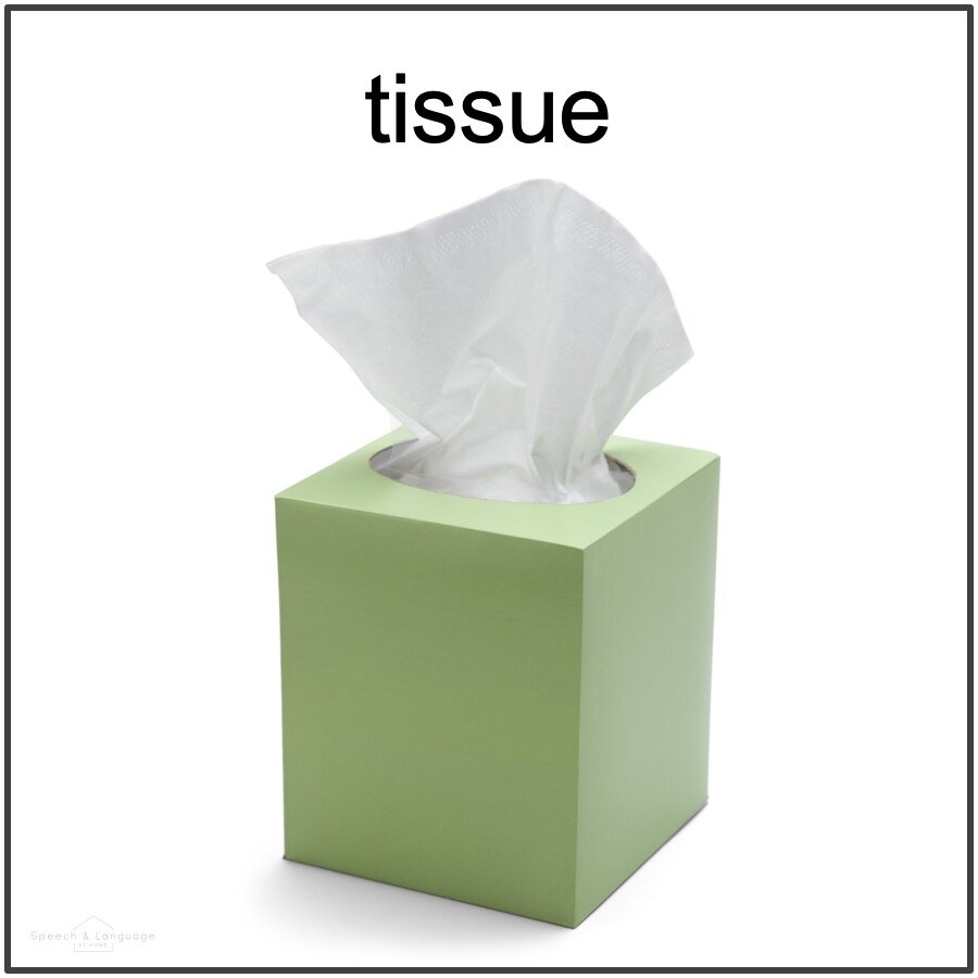 picture card of tissues for medial sh word