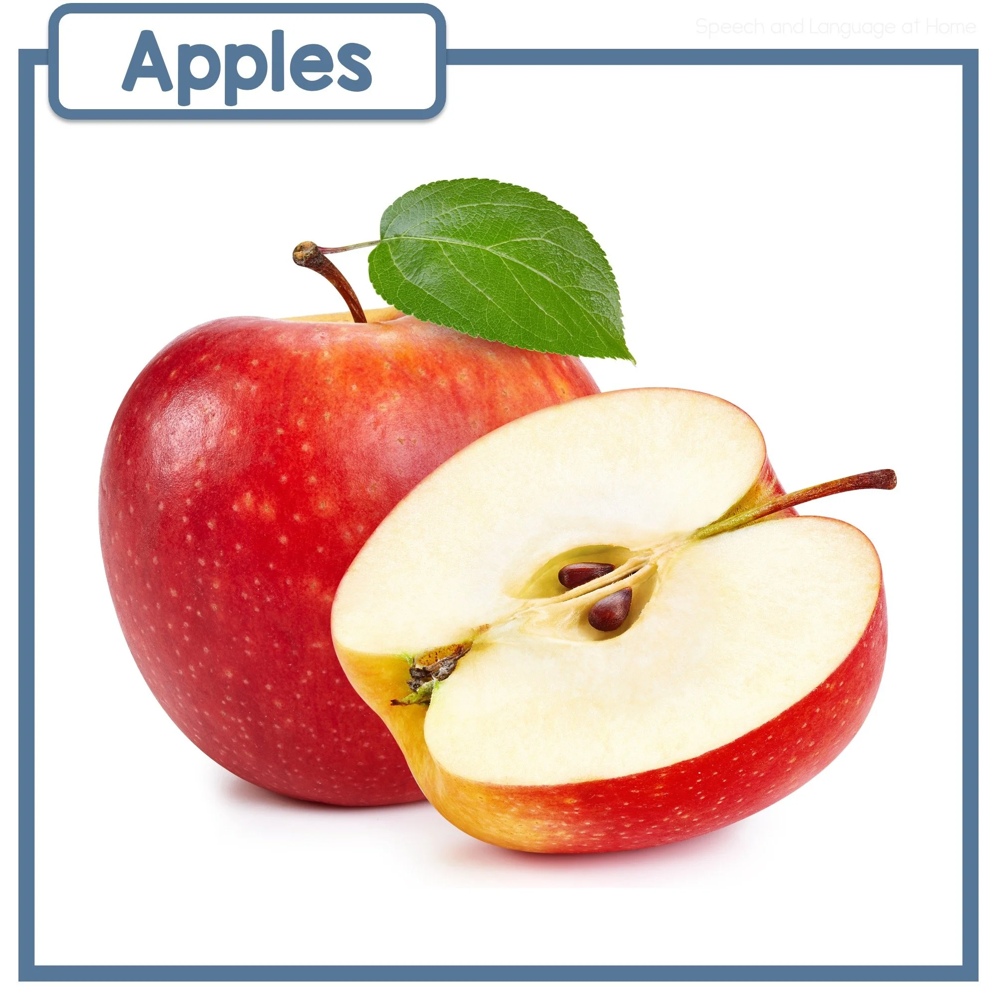 All About Apples: Build Vocabulary and Language Skills at Home