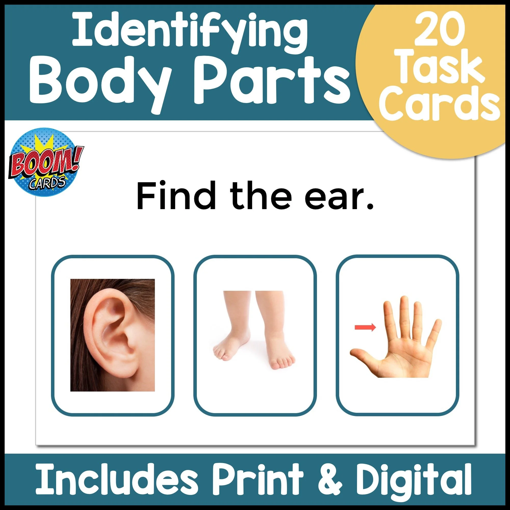 Identify Body Parts